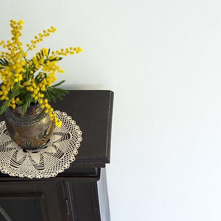 La Villa Nei Fiori ฟลอเรนซ์ ภายนอก รูปภาพ