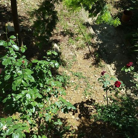 La Villa Nei Fiori ฟลอเรนซ์ ภายนอก รูปภาพ