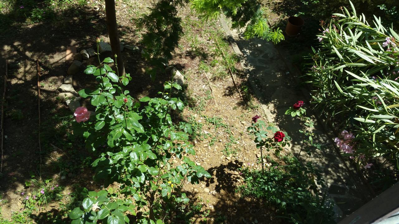La Villa Nei Fiori ฟลอเรนซ์ ภายนอก รูปภาพ